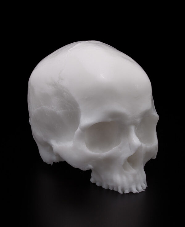 APOF_Skull-3-2-816x1000